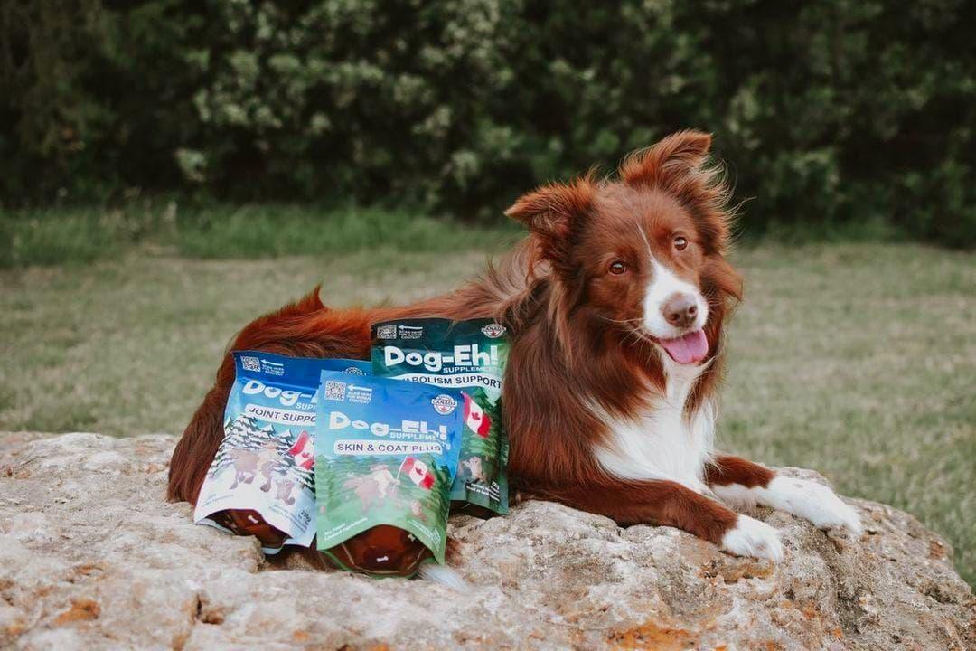 Dog-Eh! Joint Support